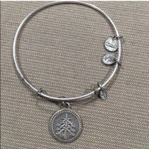 Alex and Ani - Seven Swords Silver Bracelet